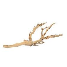 Galho de Floresta Médio